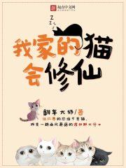 我家的猫猫是可爱的女孩子!漫画