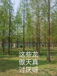 讨厌龙傲天文