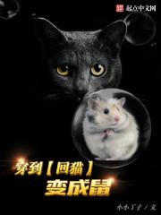 穿越变成了猫